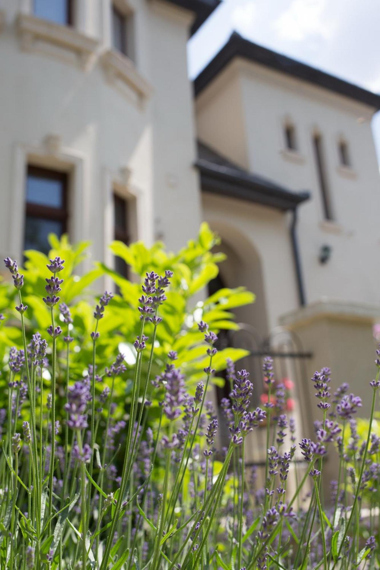 Kuria Apartman With Private Jacuzzi And Pool Budapest Esterno foto
