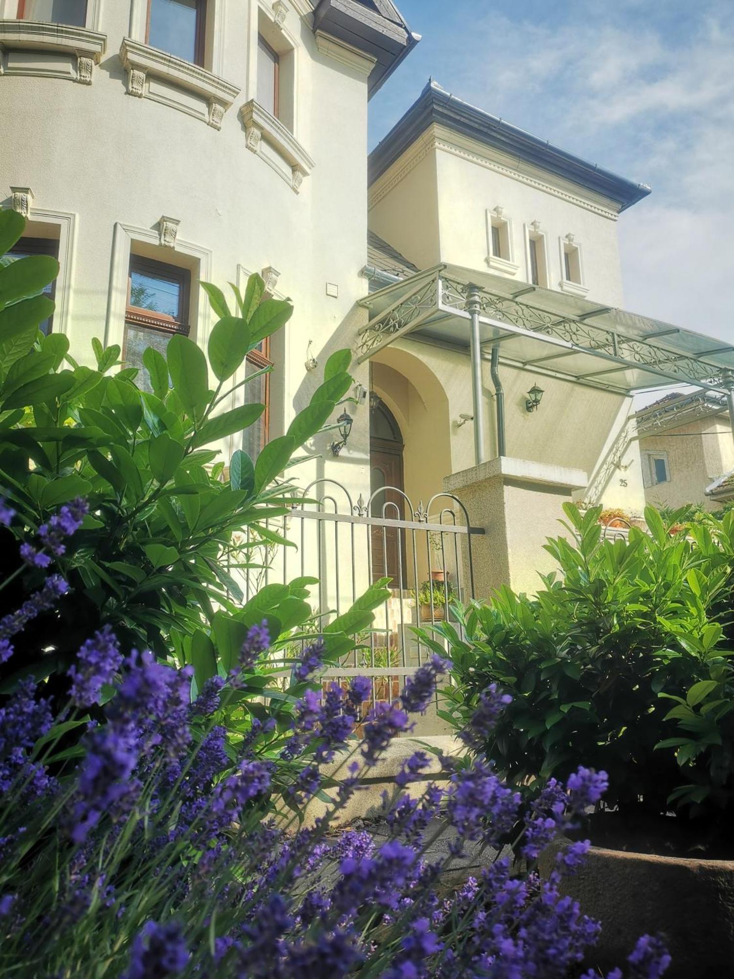 Kuria Apartman With Private Jacuzzi And Pool Budapest Esterno foto