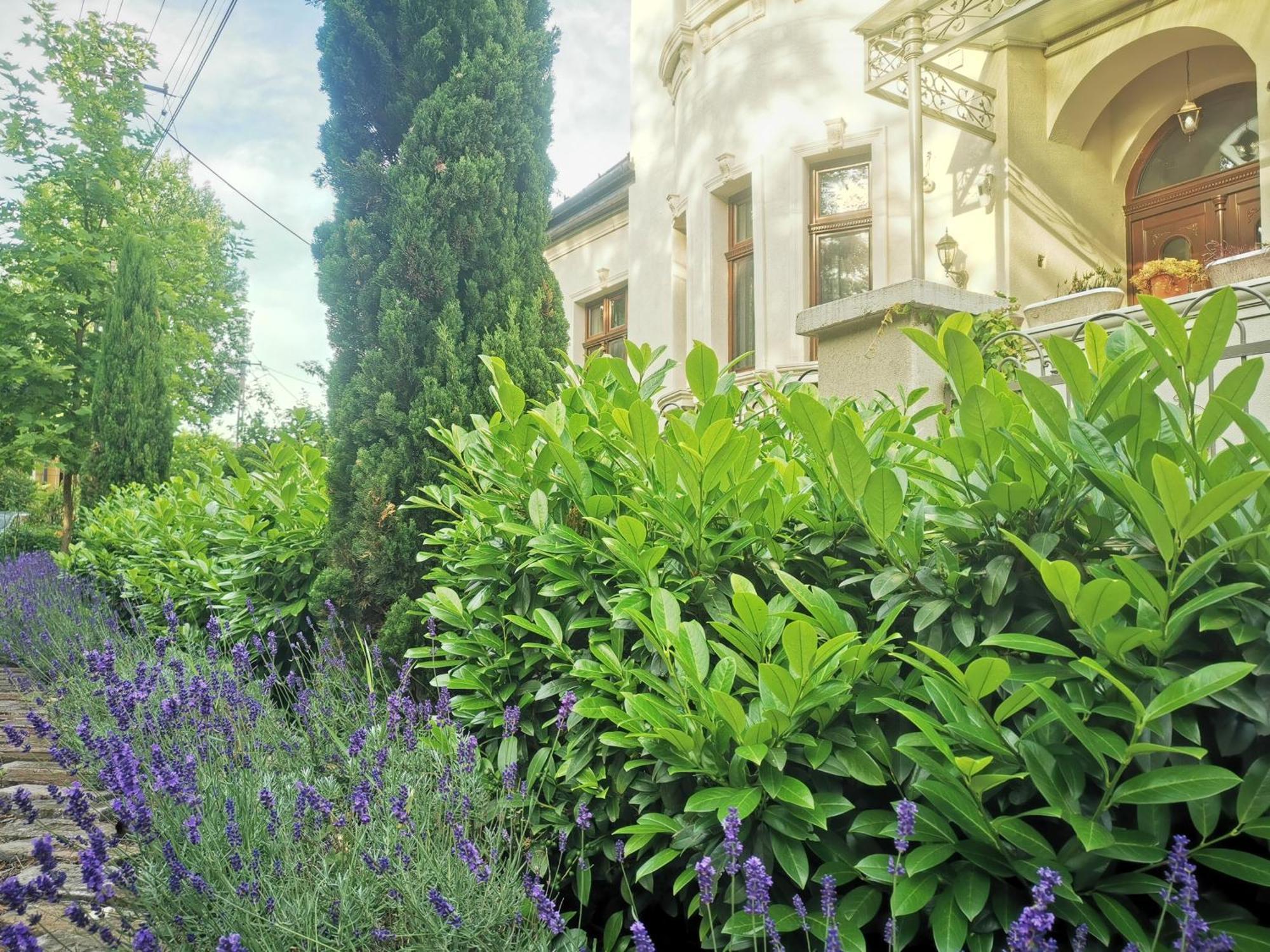 Kuria Apartman With Private Jacuzzi And Pool Budapest Esterno foto